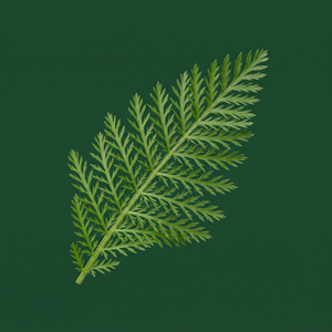 Botanical extract