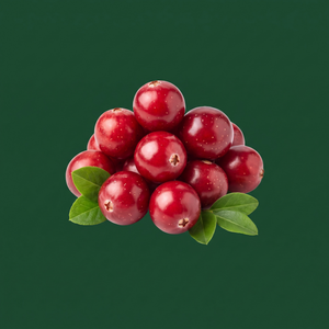 Plant extract