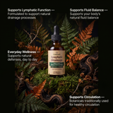 Lympharis Daily Lymphatic Drops - Reduce Puffiness & Swelling In 6 Weeks
